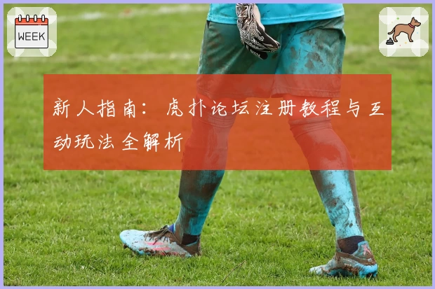 新人指南：虎扑论坛注册教程与互动玩法全解析